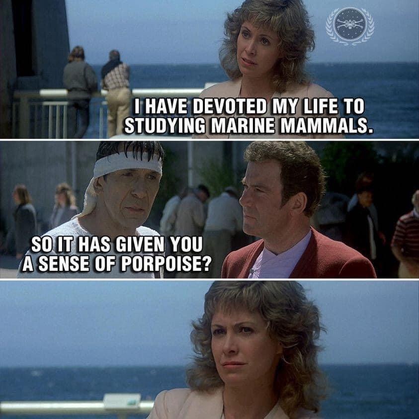 Studying marine animals