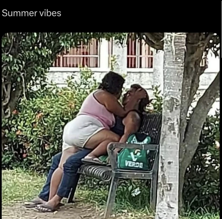 30 Memes So Absurd, They Should Be Taught in Philosophy Class 32 Summer vibes