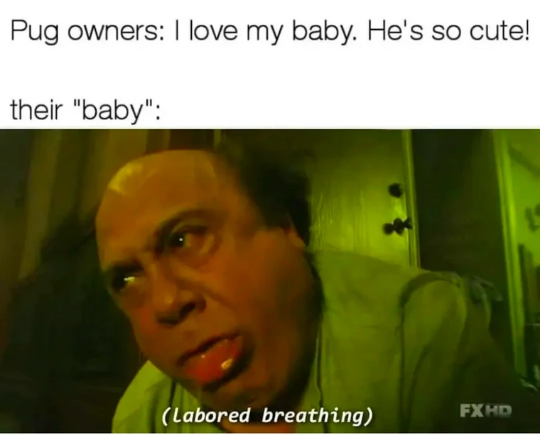 20 Memes That Are Too Funny to Keep to Yourself 17 The pg