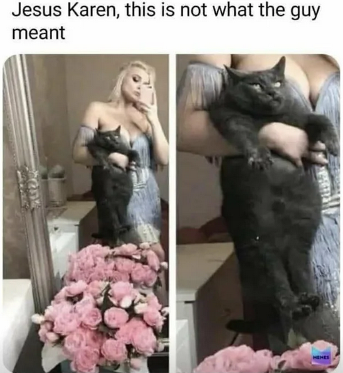 24 Memes That Walk the Fine Line Between Funny and Forbidden 18 This is not what the guy ment