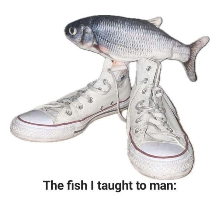 Thr fish I thaught