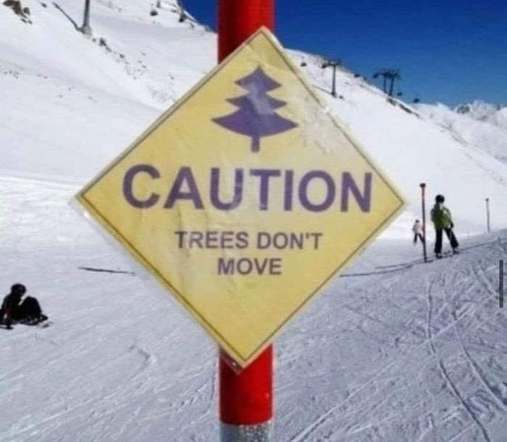 Trees dont move
