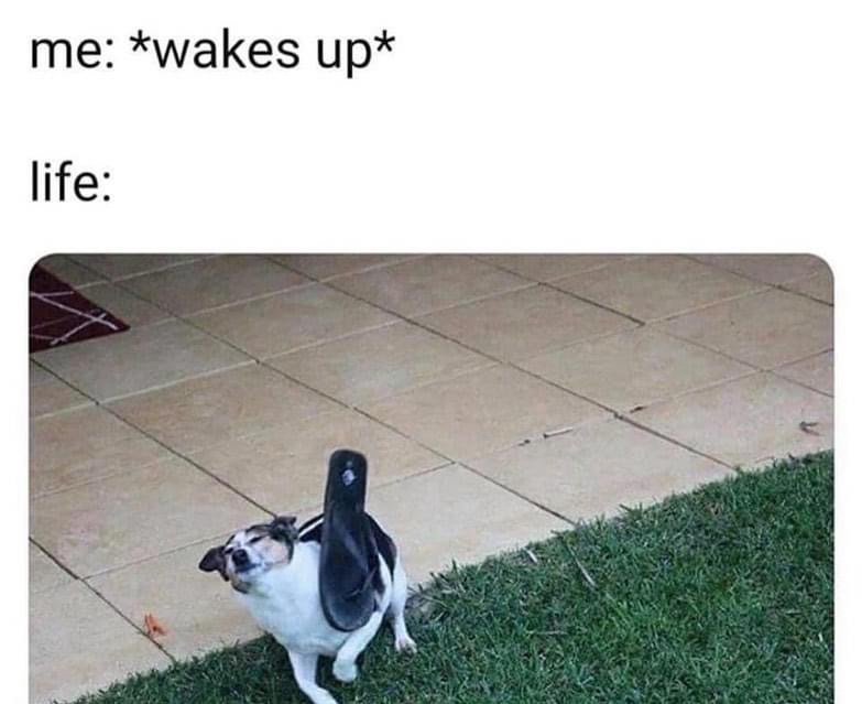 20 Memes That Will Confuse You First and Entertain You Later 15 Wakes up