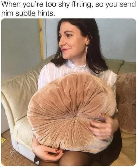 20 Memes That Are So Naughty, Even Incognito Mode Won’t Help 24 When youre too shy