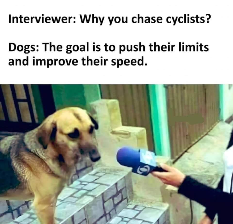 24 Science Memes That Break the Laws of Seriousness 24 Why do you chase cyclist - Science Memes