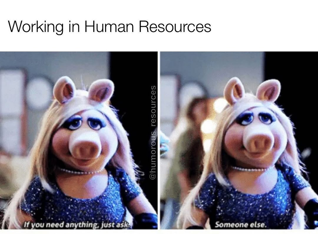 30 HR Memes That Are Relatable to Anyone Who's Dealt with HR 30 Working in human resource