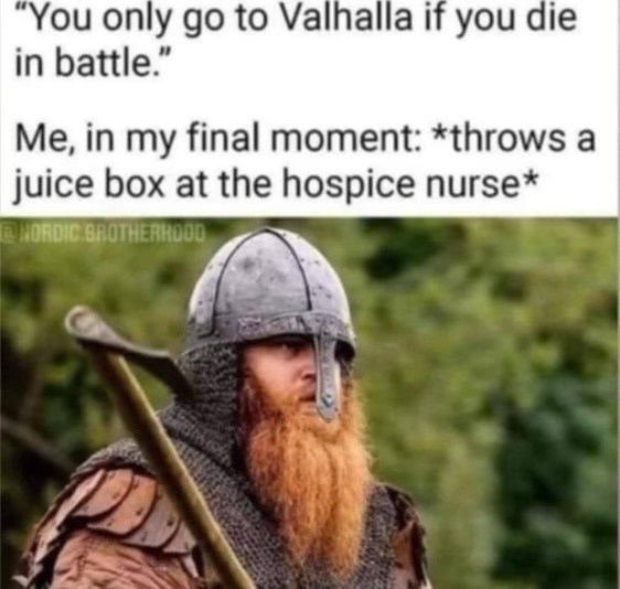 24 Memes That Are More Unhinged Than Your Group Chat 24 Youlll onlyy go to valhallah
