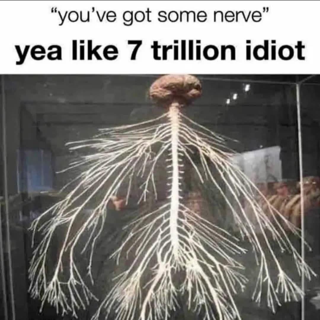 20 Memes That Will Confuse You First and Entertain You Later 20 Youve got some nerve