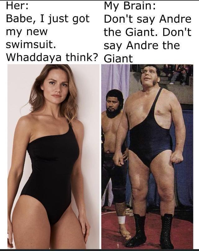 andre the giant