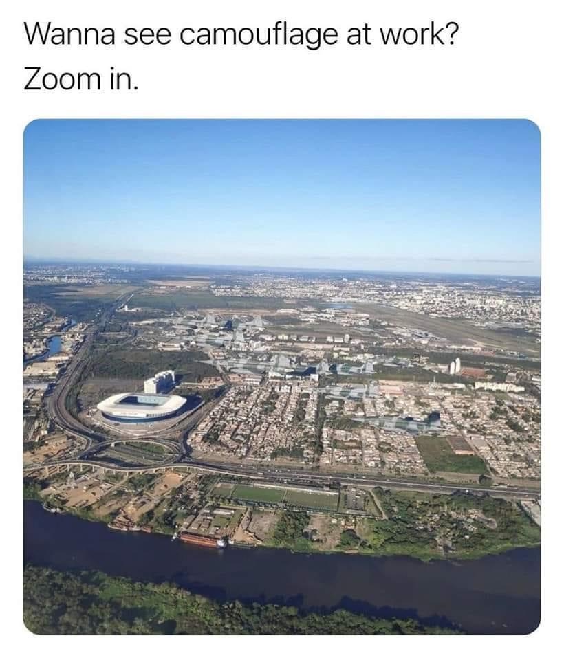 20 Memes That Were Mistaken for Trash but Are Actually Gold 3 camouflage at work