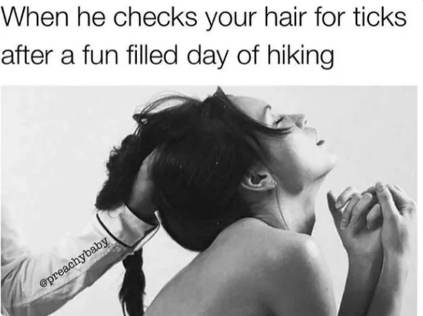 20 Memes That’ll Make You Cover Your Screen in Public 4 checks your hair