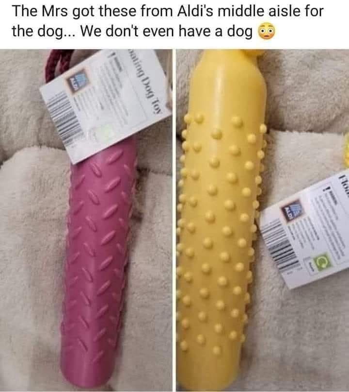 20 Memes That Are Just as Unpredictable as Life Itself 7 dont have a dog