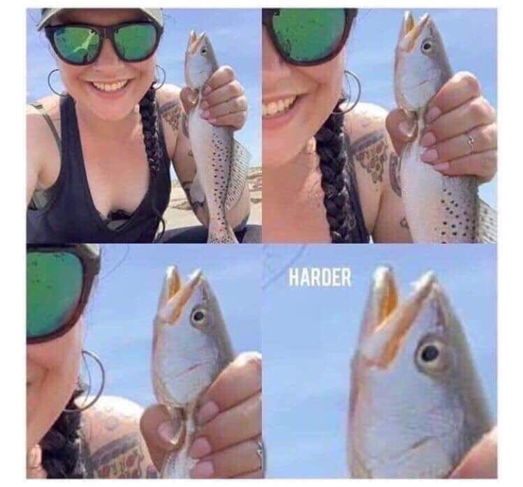 20 Memes That Are Slightly Inappropriate but Totally Hilarious 6 harder