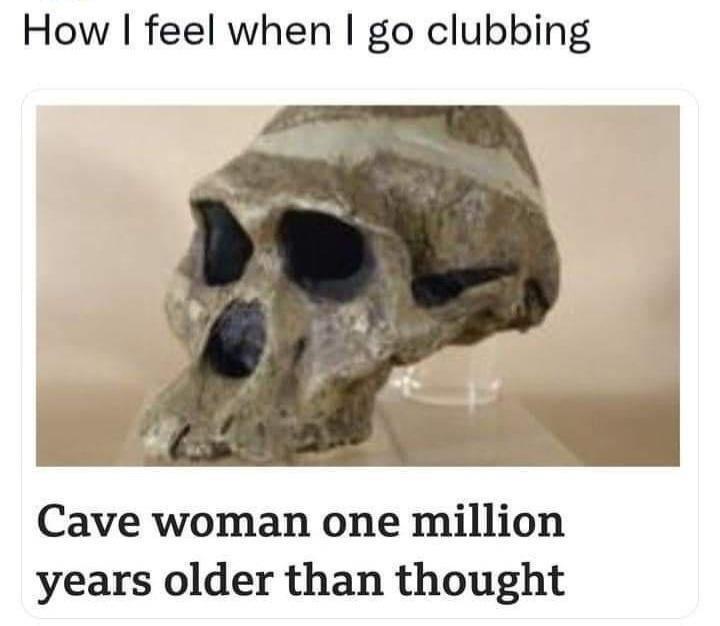 20 Memes That Were Mistaken for Trash but Are Actually Gold 5 hen I go clubbing