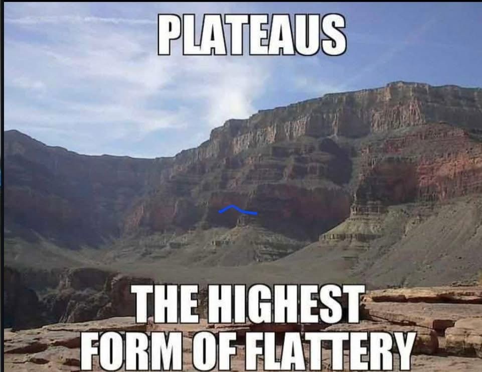 20 Memes You Can’t Scroll Past Without Laughing 9 highest form of flattery