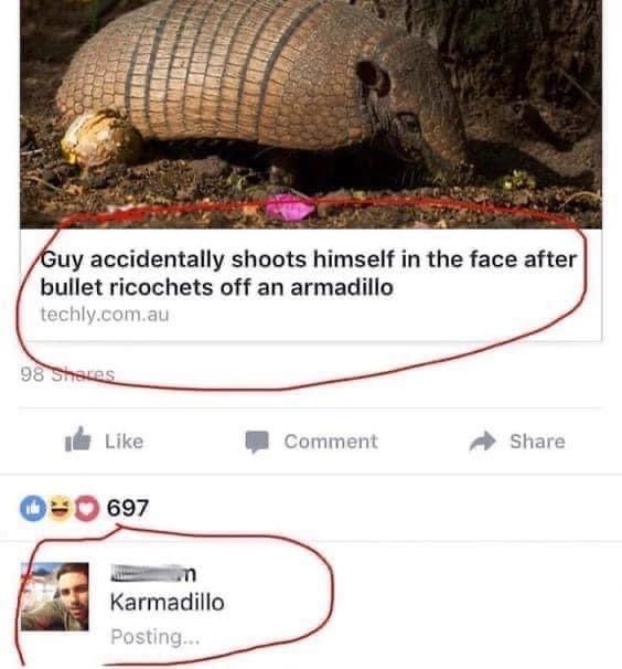 24 Science Memes That Break the Laws of Seriousness 8 karmadilo - Science Memes