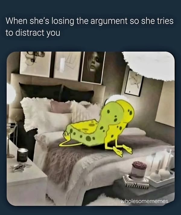 20 Memes That Are So Naughty, Even Incognito Mode Won’t Help 12 osing the argument