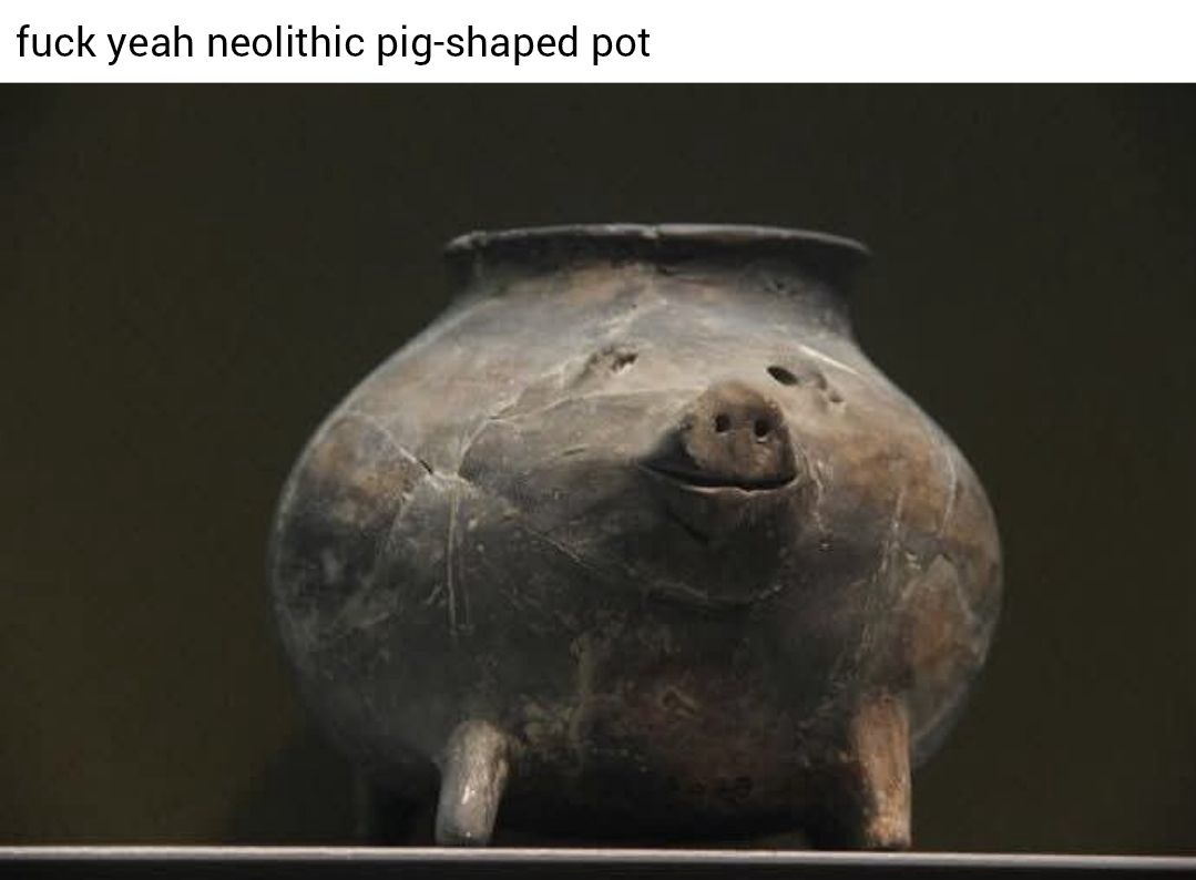 pig shaped pot