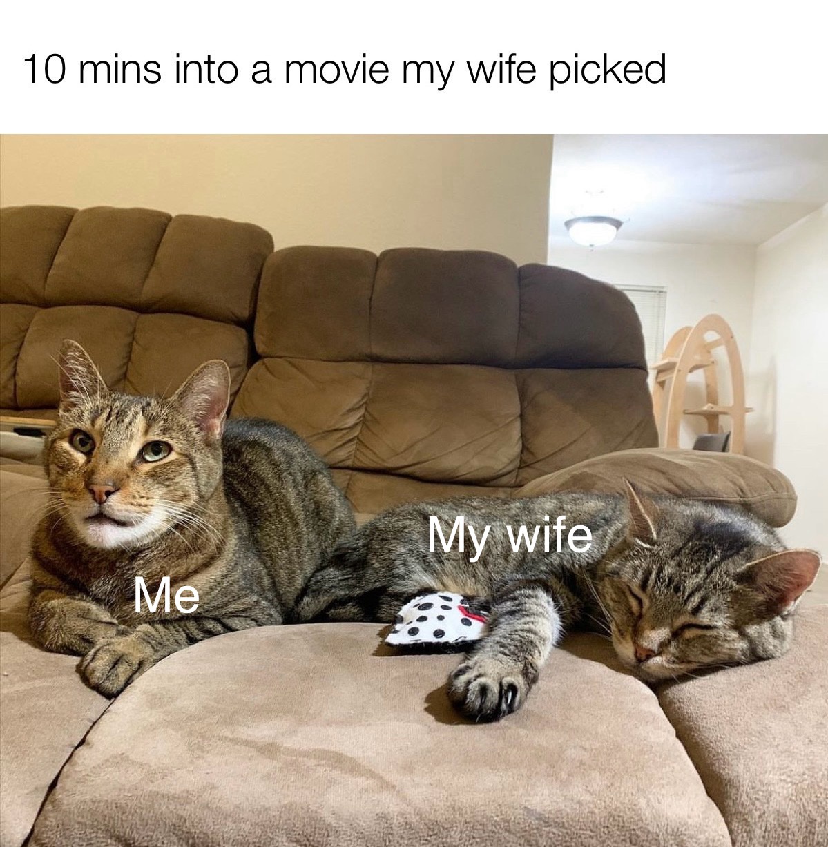 20 Random Memes That Moonwalked Out of Context 1 10 mints into movie
