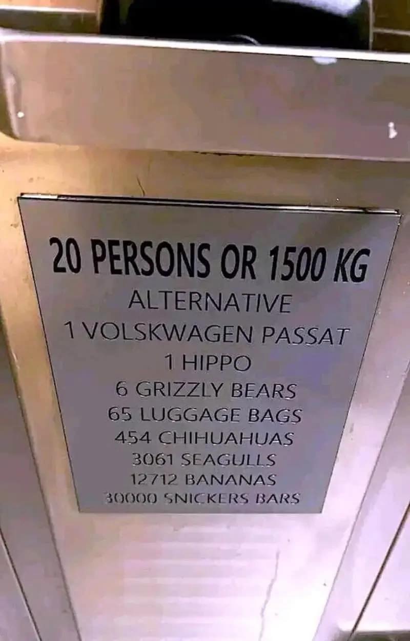 20 Persons