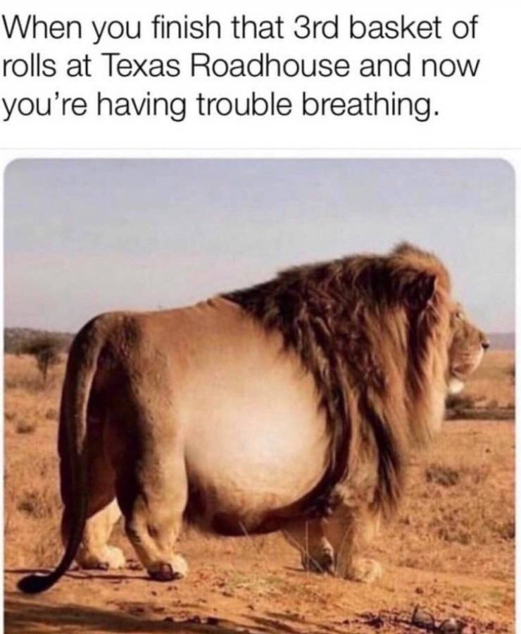 20 Memes That Are Funnier Than Your Last Five Life Decisions 1 3rd basket