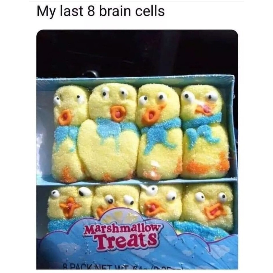 20 Memes That Are More Unhinged Than a Toddler on Sugar 1 8 brain cells