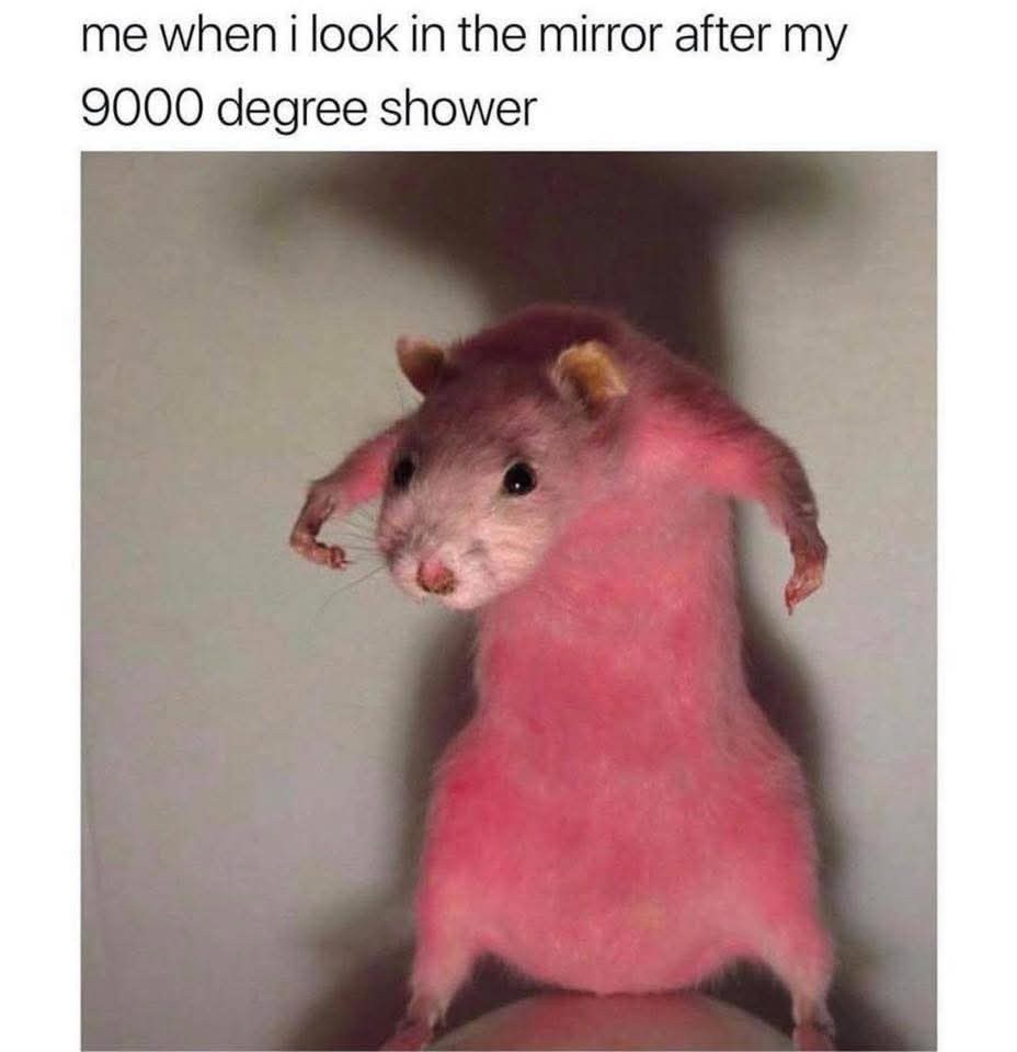 22 Memes You’d Laugh at Even If You Were a Robot 1 9000 degree shower
