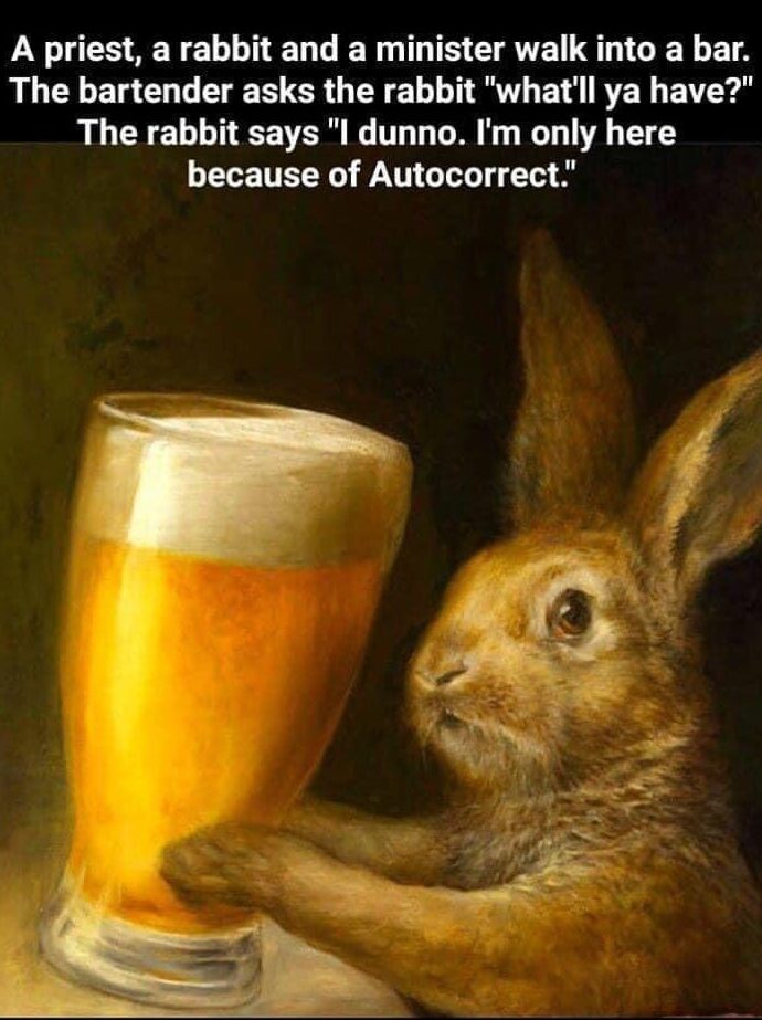 30 Memes That Broke the Laws of Gravity and Common Sense 2 A priest an rabbit