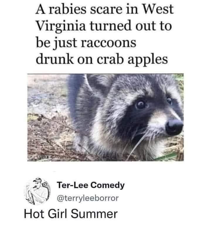 20 Random Memes That Got Lost on Their Way to Logic 1 A rabies scare