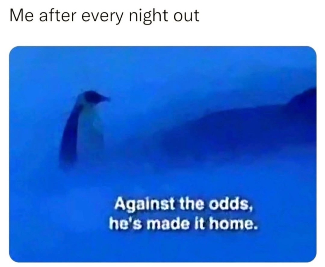 20 Funny Memes That Are Just Straight-Up Unhinged 1 After every night out