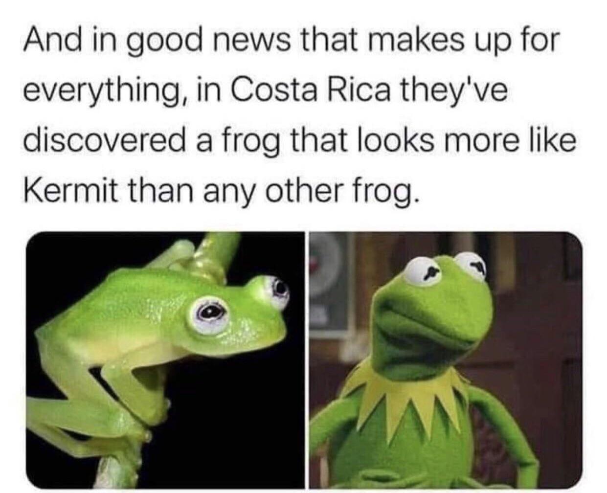 20 Memes That Will Make You Laugh So Hard, Your Neighbor Will Knock on Your Door 2 And in good news
