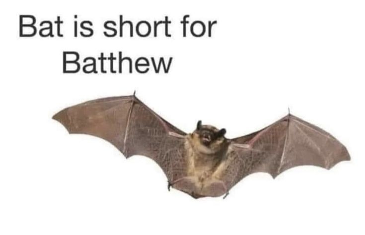 24 Memes That Should Be Illegal but Aren’t (Yet) 2 Bat is short for