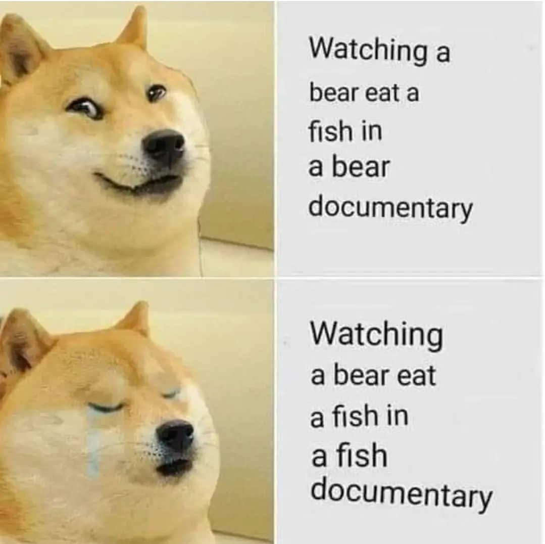 20 Memes That’ll Make Your Screen Time Worth It 1 Bear eat fish