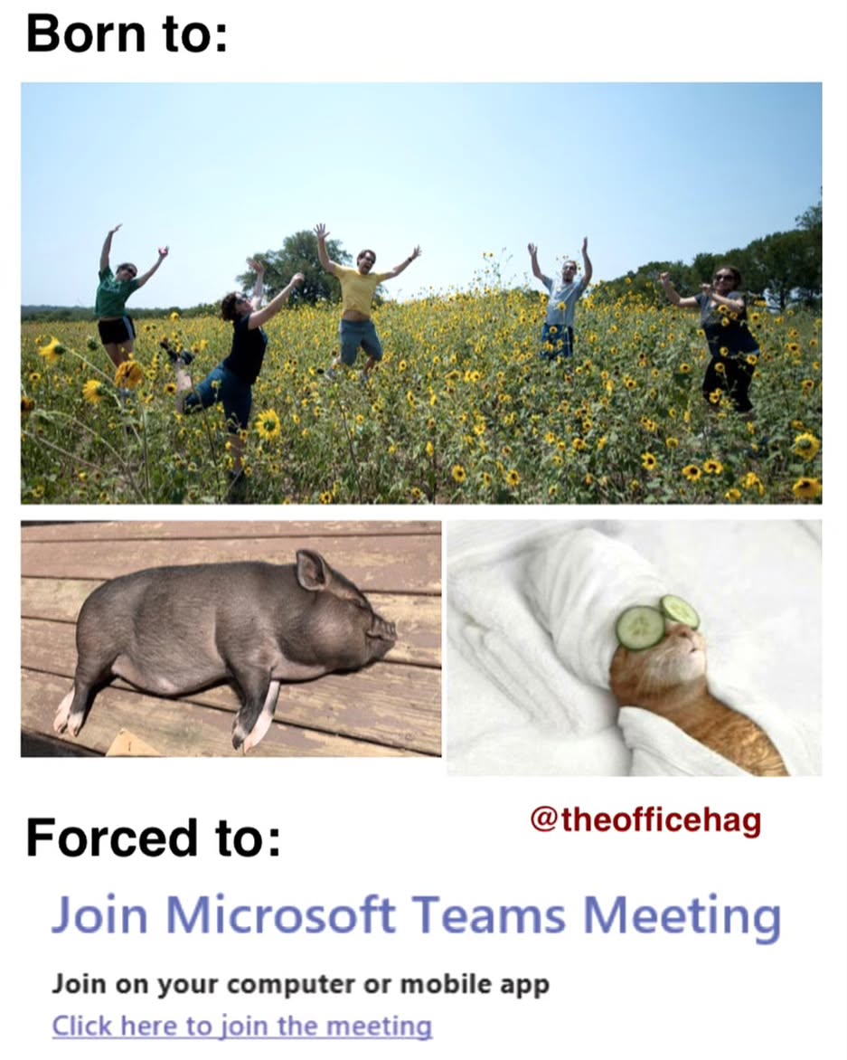 20 Memes for the Office That Are Funnier Than Your Boss’s Jokes 3 Born to - Memes for the Office