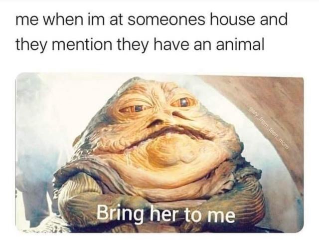 20 Memes That Deserve a Standing Ovation (Or at Least a Chuckle) 3 Bring her to me