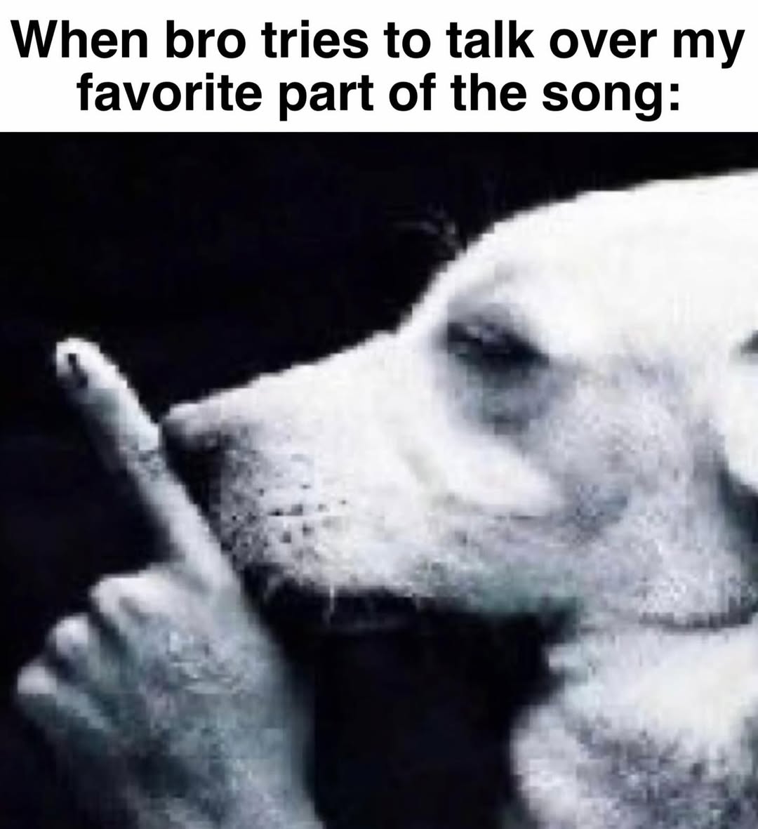 30 Hilarious Memes That Will Revive Your Brain Cells 28 Bro tries to talk