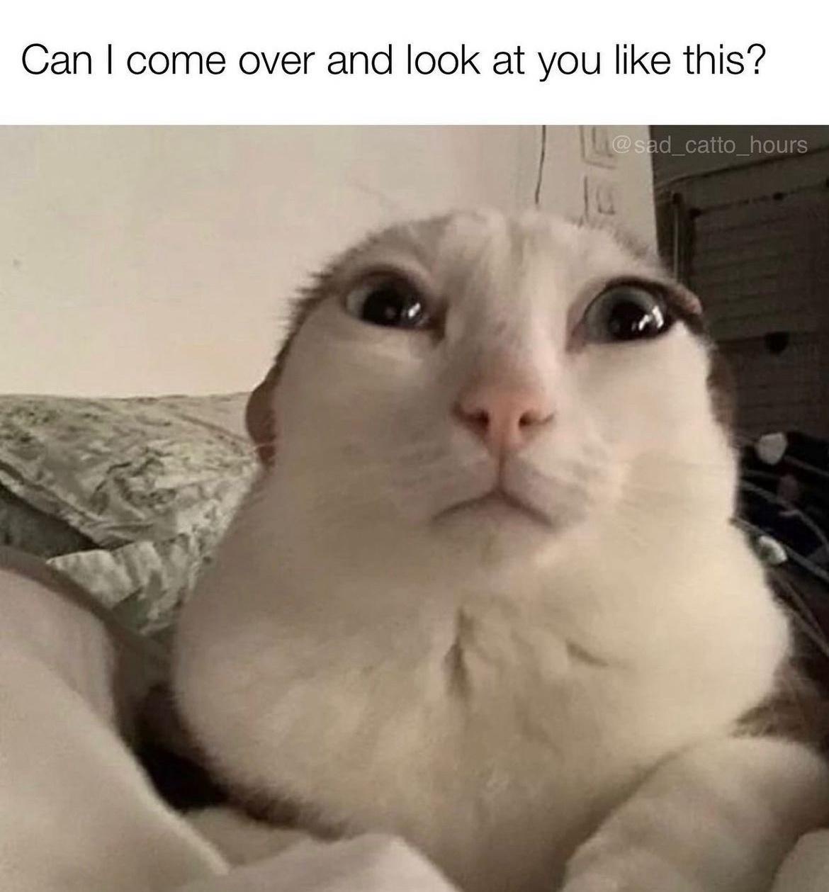 20 Random Memes That Got Lost on Their Way to Logic 6 Can I come over