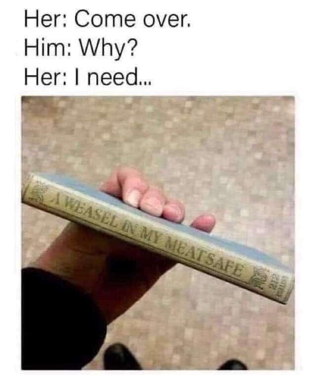 21 Gloriously Useless Memes to Confuse and Amuse 5 Comeover
