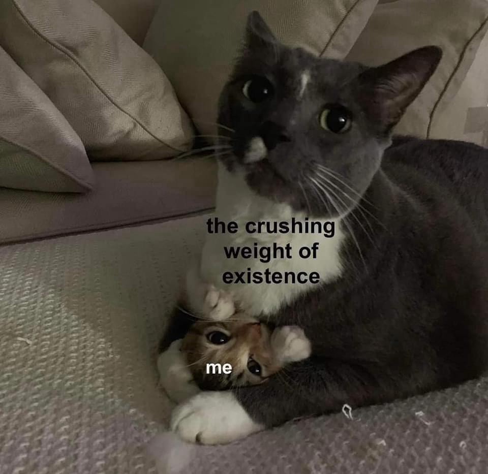 20 Memes Funnier Than That “I’m on My Way” Text While Still in Bed 3 Crushing weight of existance