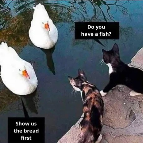 20 Random Memes That Moonwalked Out of Context 3 Do you have a fish