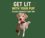 Doggy Doobie Toy Is So Hilarious - FG