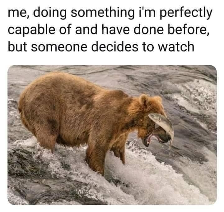 20 Memes So Funny, You’ll Need a Breathalyzer for Your Laughs 3 Doing something