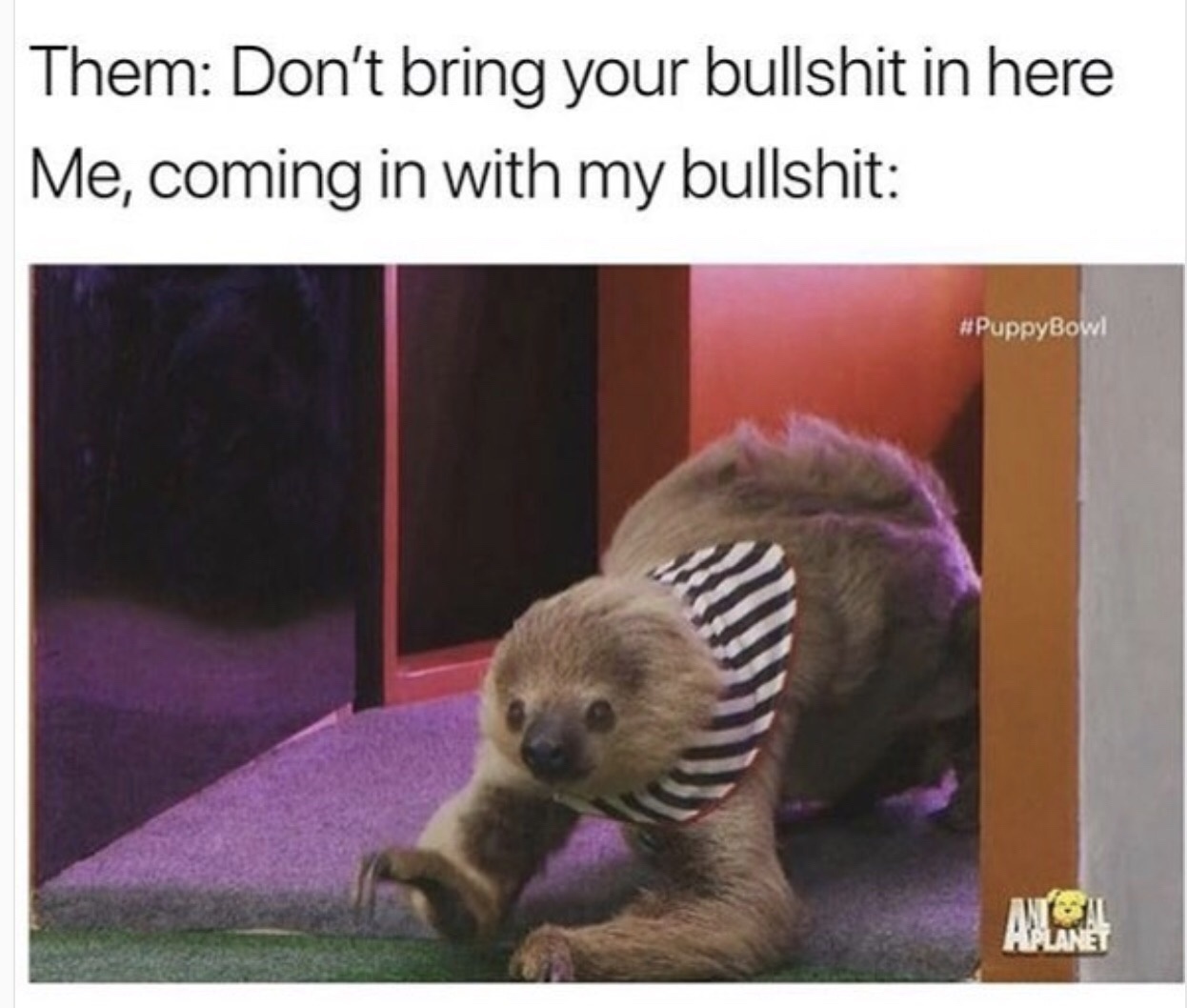 22 Memes That Audibly Said “Bruh” 2 Dont bring your bs