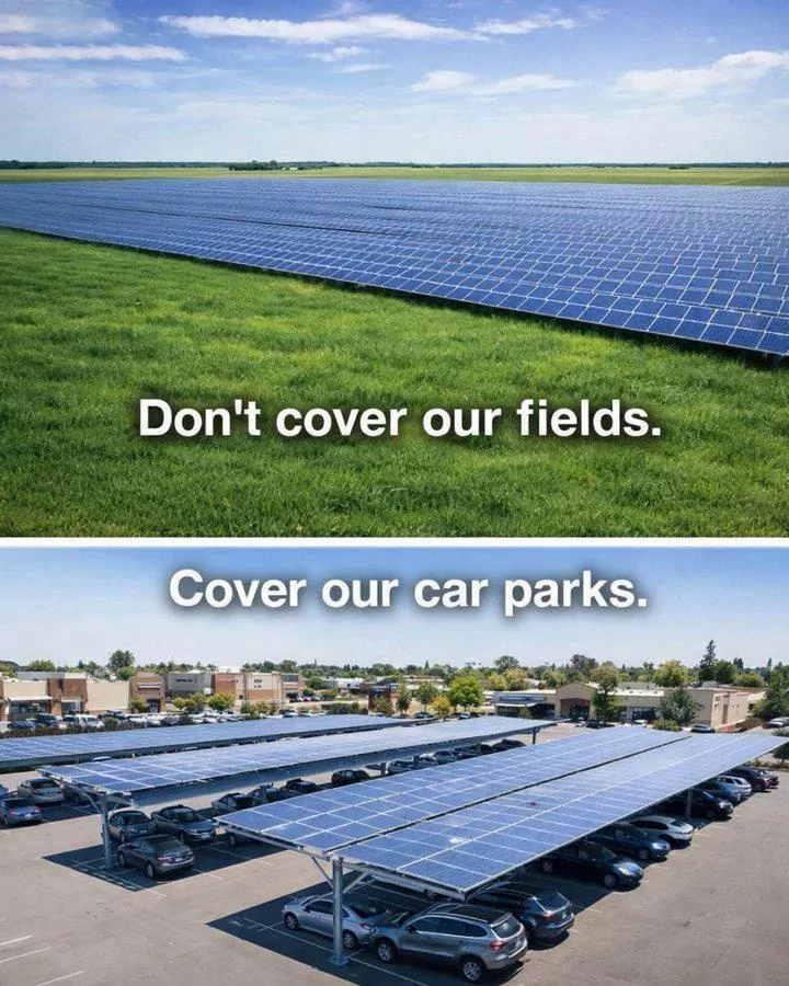 35 Parking Memes That'll Make You Call The Valet 36 Dont cover our fields