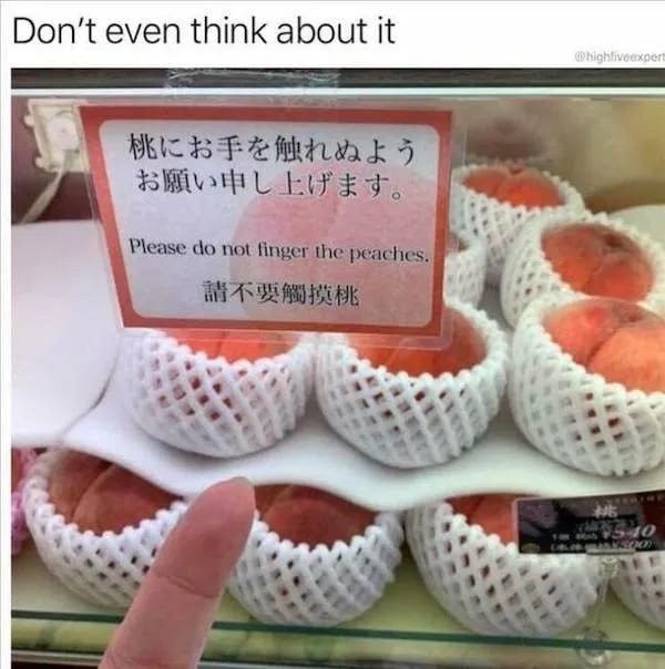 20 Memes That Will Make You Laugh So Hard, Your Neighbor Will Knock on Your Door 7 Dont even think