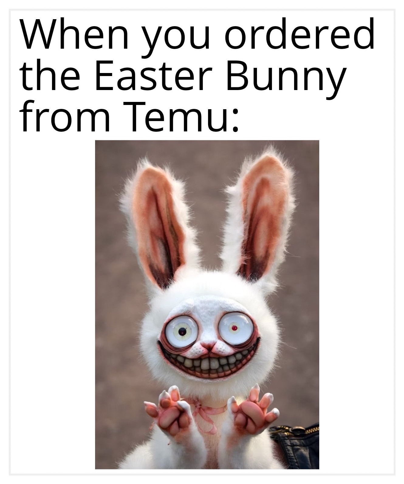 30 Egg-cellent Easter Memes That Will Crack You Up 29 Easter bunny from temu