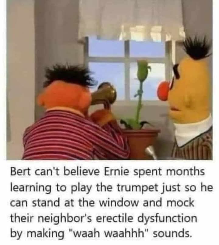22 Memes You’d Laugh at Even If You Were a Robot 7 Ernie spent months