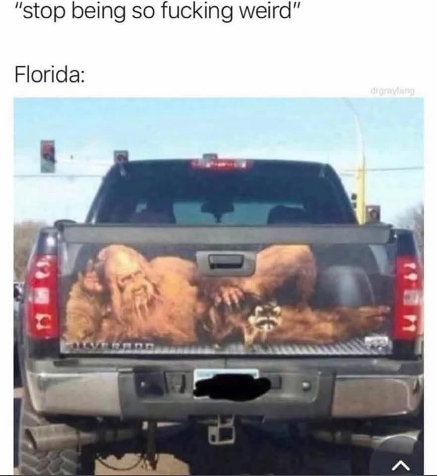 24 Memes That Yelled “Plot Twist” and Ran Off into the Sunset 5 Florida