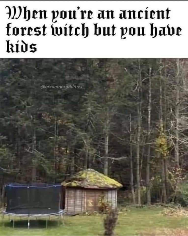 20 Memes That’ll Make Your Screen Time Worth It 7 Forest witch