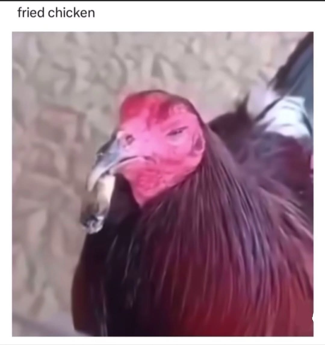 20 Memes Funnier Than That One Time You Tried Being Serious 8 Fried chicken